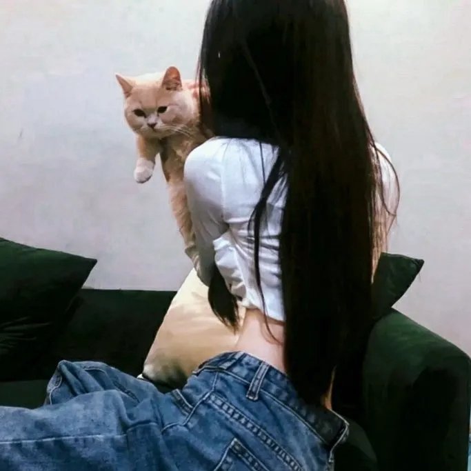 至善至美 海报
